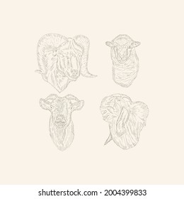 sheep head hand drawing sketch illustration