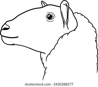 Sheep head outline illustration isolated