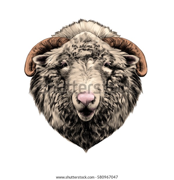 Sheep Head Vector Color Drawing Stock Vector (Royalty Free) 580967047