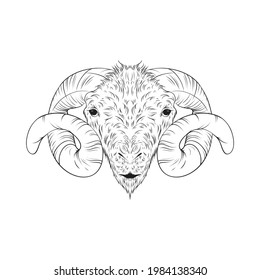 Sheep Head Vector Lineart Illustration