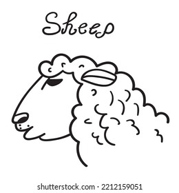 Cabeza de oveja. Ilustración del contorno del vector sobre fondo blanco.