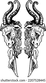 Sheep Heraldic Vector Ilustration Lineart