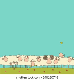 sheep herd on a lawn