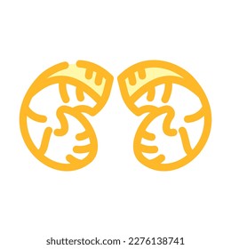 sheep horn animal color icon vector. sheep horn animal sign. isolated symbol illustration
