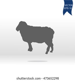 Sheep icon