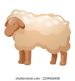 Sheep icon. Cartoon of sheep vector icon for web design isolated on white background
