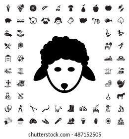 Sheep icon illustration isolated vector sign symbol