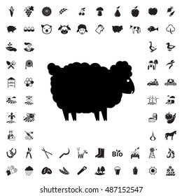 Sheep icon illustration isolated vector sign symbol