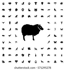 sheep icon illustration isolated vector sign symbol