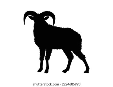 Sheep icon vector illustration. Sheep silhouette. Mammal element illustration in simple flat style isolated on white background. vector symbol design from farm collection