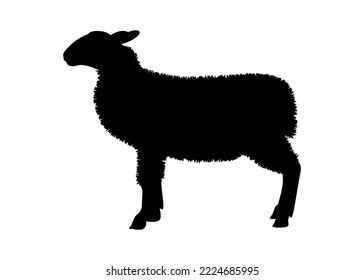 Sheep icon vector illustration. Sheep silhouette. Mammal element illustration in simple flat style isolated on white background. vector symbol design from farm collection