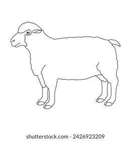 Sheep icon vector illustration symbol design