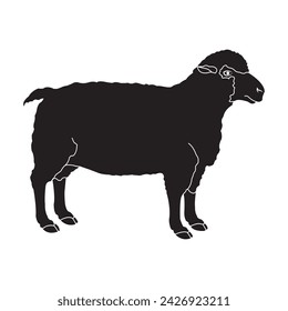 Sheep icon vector illustration symbol design