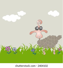 sheep illustration