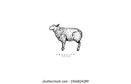 Sheep illustration vector logo design	
