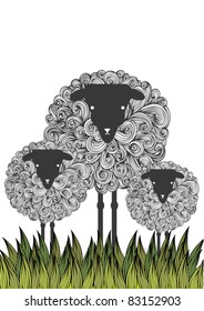 sheep illustration/vector