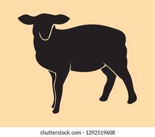 Sheep isolated on background, Vector illustration