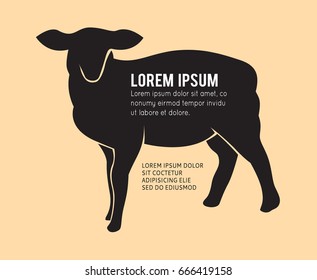 Sheep isolated on background, Vector illustration