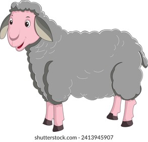 Sheep isolated on white background