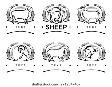 Etiquetas de ovejas y conjunto de iconos. Colección iconos oveja. Vector