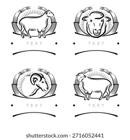 Etiquetas de ovejas y conjunto de iconos. Colección iconos oveja. Vector