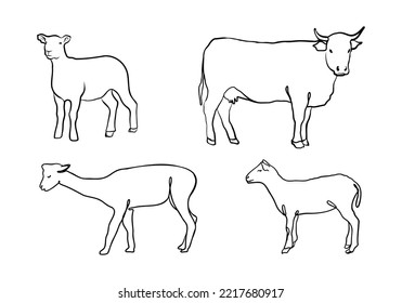 Sheep, lama and cow linear vector illustration set. Isolated on white background. Ewes vector sketch.