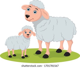 Sheep and lamb.  baby sheep cartoon vector cute wool farm