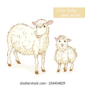 Sheep and lamb. Cute animals family with mom and baby. Vector illustration