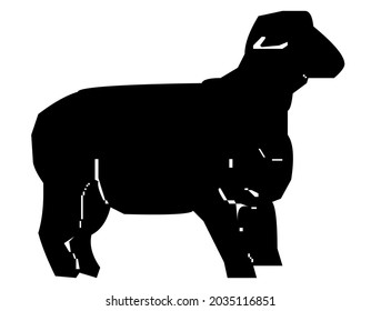 Sheep, lamb, domestic animal, mammal, vector, illustration in black and white color, isolated on white background 
