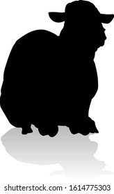  A sheep or lamb farm animal in silhouette
