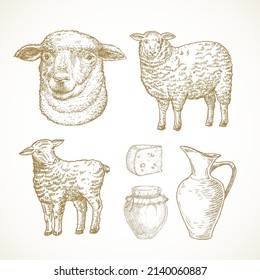 Sheep Lamb Farm Products and Objects. Cattle, Milk and Cheese Hand Drawn Vector Illustrations Set. Domestic Animals Sketch Bundle. Doodle Style Drawings Collection. Isolated