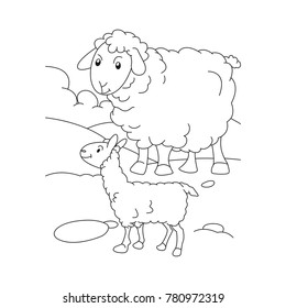 Sheep and lamb grazing