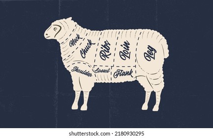 Sheep, Lamb meat chart. Butchery poster with lamb meat cuts and paper craft texture. Vintage butcher meat diagram. Vector illustration