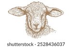 Sheep, lamb, mutton. Vintage retro print, black white sheep drawing, sketch ink pencil draw, engrave old school style. Sketch artwork silhouette head sheep. Head sheep, lamb. Vector Illustration