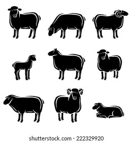 Sheep and lamb set. Vector 