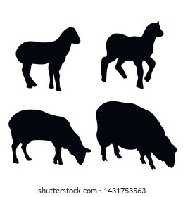 Sheep and lamb silhouette isolated on white.