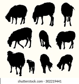 Sheep  & lamb Silhouette Set