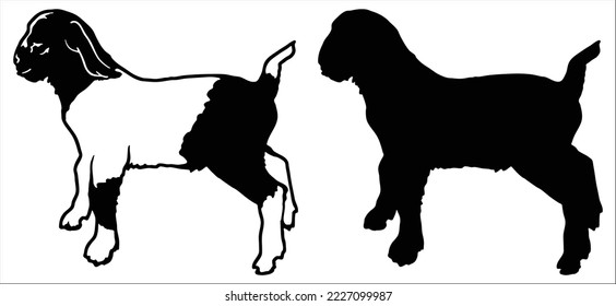 Vector de silueta de cordero de oveja aislado sobre fondo blanco