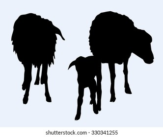 Sheep & Lamb Vector 