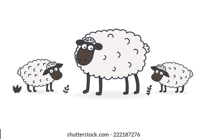 Sheep and Lamb Vector Illustration