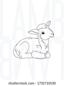 sheep, lamb, vector illustration, sketch, template for t-shirt design