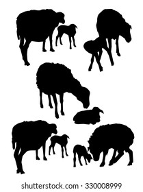 Sheep & Lamb Vector Set