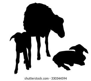 Sheep & Lambs Vector