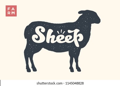 Sheep. Lettering, typography. Animal silhoutte sheep or lamb and lettering Sheep. Creative graphic design for butcher shop, farmer market. Vintage poster for meat related theme. Vector Illustration