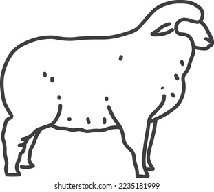 Sheep line icon. Lamb symbol. Farm animal