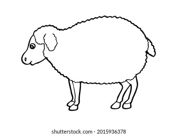 sheep line vector illustration,isolated on white background,top view