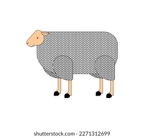 Sheep linear illustration. ewe isolated. Vector illustration