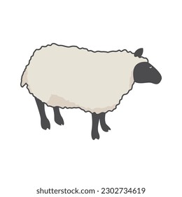 Sheep logo icon vector flat design template