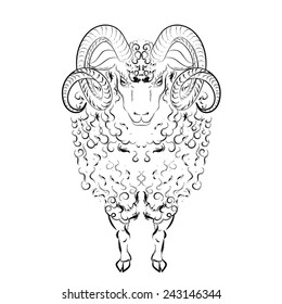 Sheep with long wool locks and long curved horns. Vector illustration