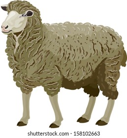 2,832 Sheep baa Images, Stock Photos & Vectors | Shutterstock